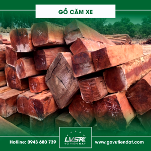 Gỗ căm xe
