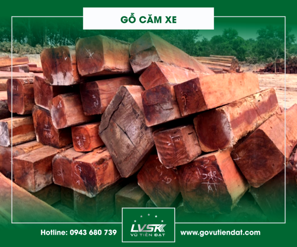 Gỗ căm xe